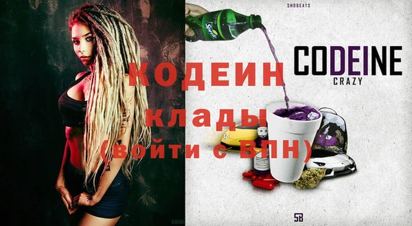 шишки Инта