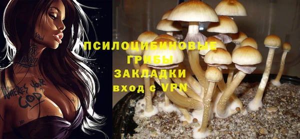 экстази Зеленодольск